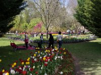 TulipTopGardens2016-93