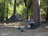 USA2016-585  Yosemite National Park : 2016, August, Betty, US, holidays