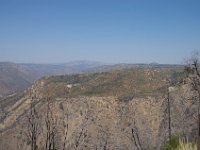 USA2016-628  Stanilaus National Forest : 2016, August, Betty, US, holidays