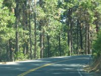 USA2016-659  On the way from Sonora to Reno through Stanilaus National Park : 2016, August, Betty, US, holidays