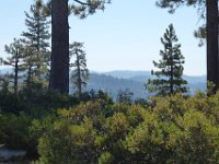 USA2016-675  On the way from Sonora to Reno through Stanilaus National Park : 2016, August, Betty, US, holidays