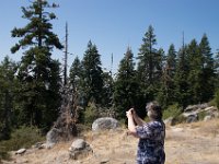 USA2016-721  On the way from Sonora to Reno through Stanilaus National Park : 2016, August, Betty, US, holidays