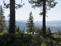 USA2016-743  On the way from Sonora to Reno through Stanilaus National Park : 2016, August, Betty, US, holidays