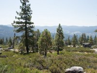 USA2016-747  On the way from Sonora to Reno through Stanilaus National Park : 2016, August, Betty, US, holidays