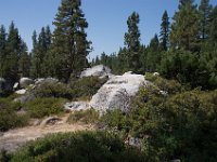 USA2016-750  On the way from Sonora to Reno through Stanilaus National Park : 2016, August, Betty, US, holidays