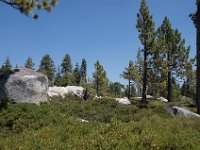 USA2016-752  On the way from Sonora to Reno through Stanilaus National Park : 2016, August, Betty, US, holidays