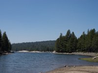 USA2016-755  On the way from Sonora to Reno through Stanilaus National Park : 2016, August, Betty, US, holidays