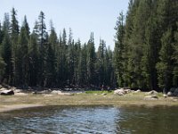 USA2016-761  On the way from Sonora to Reno through Stanilaus National Park : 2016, August, Betty, US, holidays