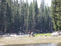 USA2016-762  On the way from Sonora to Reno through Stanilaus National Park : 2016, August, Betty, US, holidays