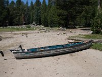 USA2016-766  On the way from Sonora to Reno through Stanilaus National Park : 2016, August, Betty, US, holidays