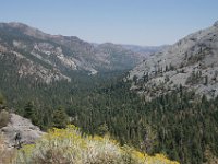 USA2016-779  On the way from Sonora to Reno through Stanilaus National Park : 2016, August, Betty, US, holidays