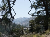 USA2016-787  On the way from Sonora to Reno through Stanilaus National Park : 2016, August, Betty, US, holidays