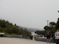 USA2016-1034  The Golden Gate Bridge Park : 2016, August, Betty, US, holidays