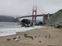 USA2016-1127  park around the southern end of the Golden Gate Bridge : 2016, August, Betty, US, holidays