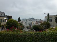 USA2016-1632  Down San Francisco's most crooked street, (Lombard Street), with Ken & Adella : 2016, August, Betty, US, holidays