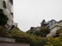 USA2016-1654  Down San Francisco's most crooked street, (Lombard Street), with Ken & Adella : 2016, August, Betty, US, holidays