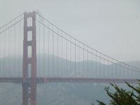 USA2016-1658  the Golden Gate Bridge : 2016, August, Betty, US, holidays