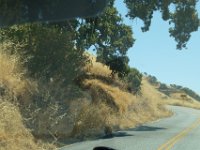 USA2016-72  On the way to the Lick Observatory : 2016, August, Betty, US, holidays
