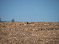 USA2016-227  Over the road from Google's head office : 2016, August, Betty, US, holidays