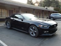 USA2016-324  Mustang in the car park out the back : 2016, August, Betty, US, holidays