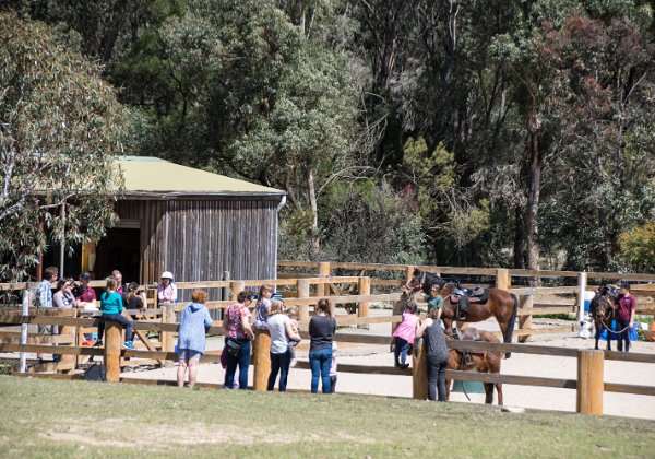 Attunga Camp 2019