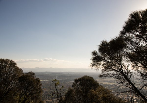 Mount Majura 2019