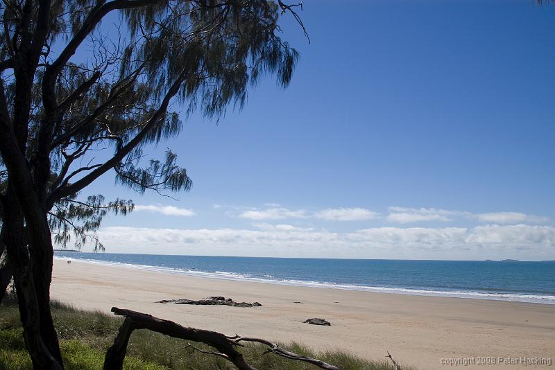 KJH_CtoC_July2008_-1