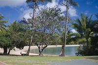  one of the beaches at Airlie beach
