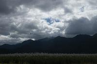  on the way back to Cairns