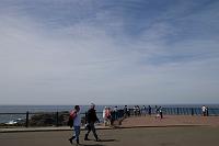  lookout neat the Blowhole at Kiama