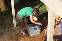  Peggy washing Tigger