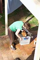  Peggy washing Tigger