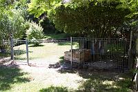  Peggy's new back fence