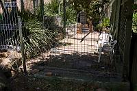  Peggy's new back fence