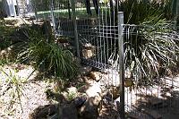  Peggy's new back fence