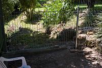  Peggy's new back fence