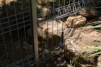  some detail of how we built Peggy's new back fence around the rocks