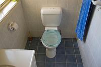  ensuite, love that toilet seat!